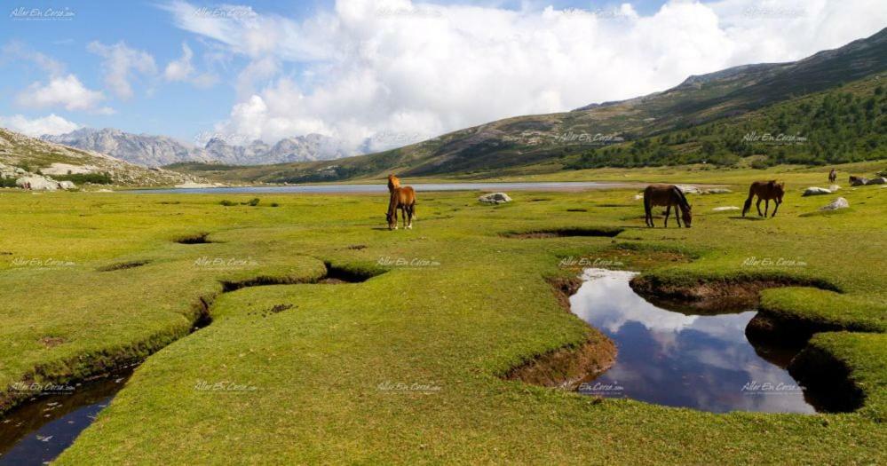 Residence Acqua Linda Porticcio Porticcio  Dış mekan fotoğraf